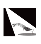 Good Shrimp Shrimp（個別スタンプ：8）