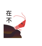 Good Shrimp Shrimp（個別スタンプ：9）