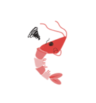 Good Shrimp Shrimp（個別スタンプ：19）
