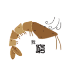Good Shrimp Shrimp（個別スタンプ：24）