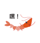 Good Shrimp Shrimp（個別スタンプ：29）