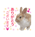 うさぎのうさ♡（個別スタンプ：1）