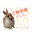うさぎのうさ♡（個別スタンプ：7）