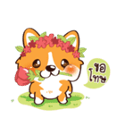 Corgi - Naughty Dog（個別スタンプ：23）