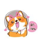 Corgi - Naughty Dog（個別スタンプ：32）