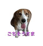 のんほい てっちゃん（個別スタンプ：1）