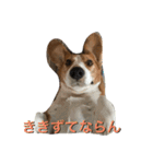 のんほい てっちゃん（個別スタンプ：5）