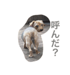 ななころの毎日（個別スタンプ：6）