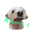 ななころの毎日（個別スタンプ：11）