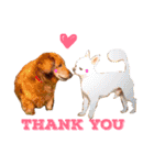 メタボ犬（個別スタンプ：3）