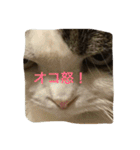 すもさん2（個別スタンプ：15）