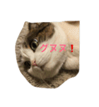 すもさん2（個別スタンプ：18）