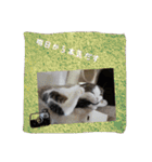 すもさん2（個別スタンプ：22）
