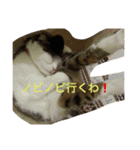 すもさん2（個別スタンプ：35）