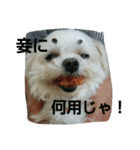 佐々木家の姫2（個別スタンプ：10）