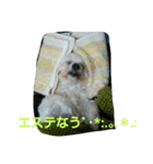 佐々木家の姫2（個別スタンプ：15）