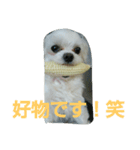 佐々木家の姫2（個別スタンプ：16）