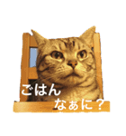 ちゅら日和（個別スタンプ：5）