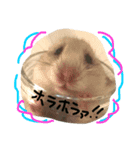ラプと時々ゾイゾイ（個別スタンプ：5）