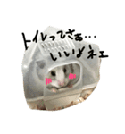 ラプと時々ゾイゾイ（個別スタンプ：8）