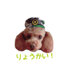クロエ ちゃん（個別スタンプ：2）