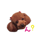 クロエ ちゃん（個別スタンプ：3）