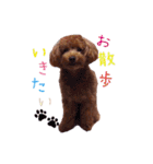 クロエ ちゃん（個別スタンプ：10）