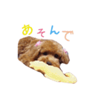 クロエ ちゃん（個別スタンプ：15）