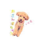 クロエ ちゃん（個別スタンプ：16）
