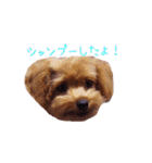 クロエ ちゃん（個別スタンプ：17）