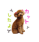 クロエ ちゃん（個別スタンプ：19）