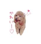 クロエ ちゃん（個別スタンプ：32）