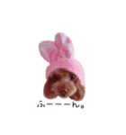 クロエ ちゃん（個別スタンプ：36）