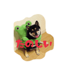 やまぐち もも（個別スタンプ：1）