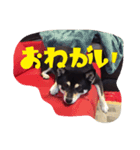 やまぐち もも（個別スタンプ：2）