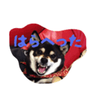 やまぐち もも（個別スタンプ：7）