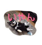やまぐち もも（個別スタンプ：8）