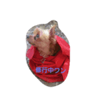 ジェイ君とドミン（個別スタンプ：3）