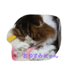 ジェイ君とドミン（個別スタンプ：8）