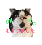 よく使う！ちょいウケ敬語スタンプ（個別スタンプ：1）