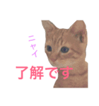 よく使う！ちょいウケ敬語スタンプ（個別スタンプ：2）