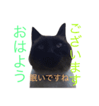 よく使う！ちょいウケ敬語スタンプ（個別スタンプ：3）
