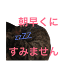 よく使う！ちょいウケ敬語スタンプ（個別スタンプ：4）