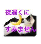 よく使う！ちょいウケ敬語スタンプ（個別スタンプ：5）