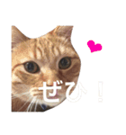 よく使う！ちょいウケ敬語スタンプ（個別スタンプ：6）