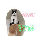 よく使う！ちょいウケ敬語スタンプ（個別スタンプ：8）