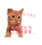 よく使う！ちょいウケ敬語スタンプ（個別スタンプ：10）