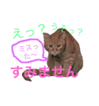 よく使う！ちょいウケ敬語スタンプ（個別スタンプ：12）