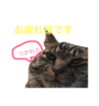 よく使う！ちょいウケ敬語スタンプ（個別スタンプ：13）