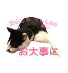 よく使う！ちょいウケ敬語スタンプ（個別スタンプ：14）
